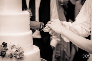 Ways to Make Cutting Your Wedding Cake a Special Moment(1)