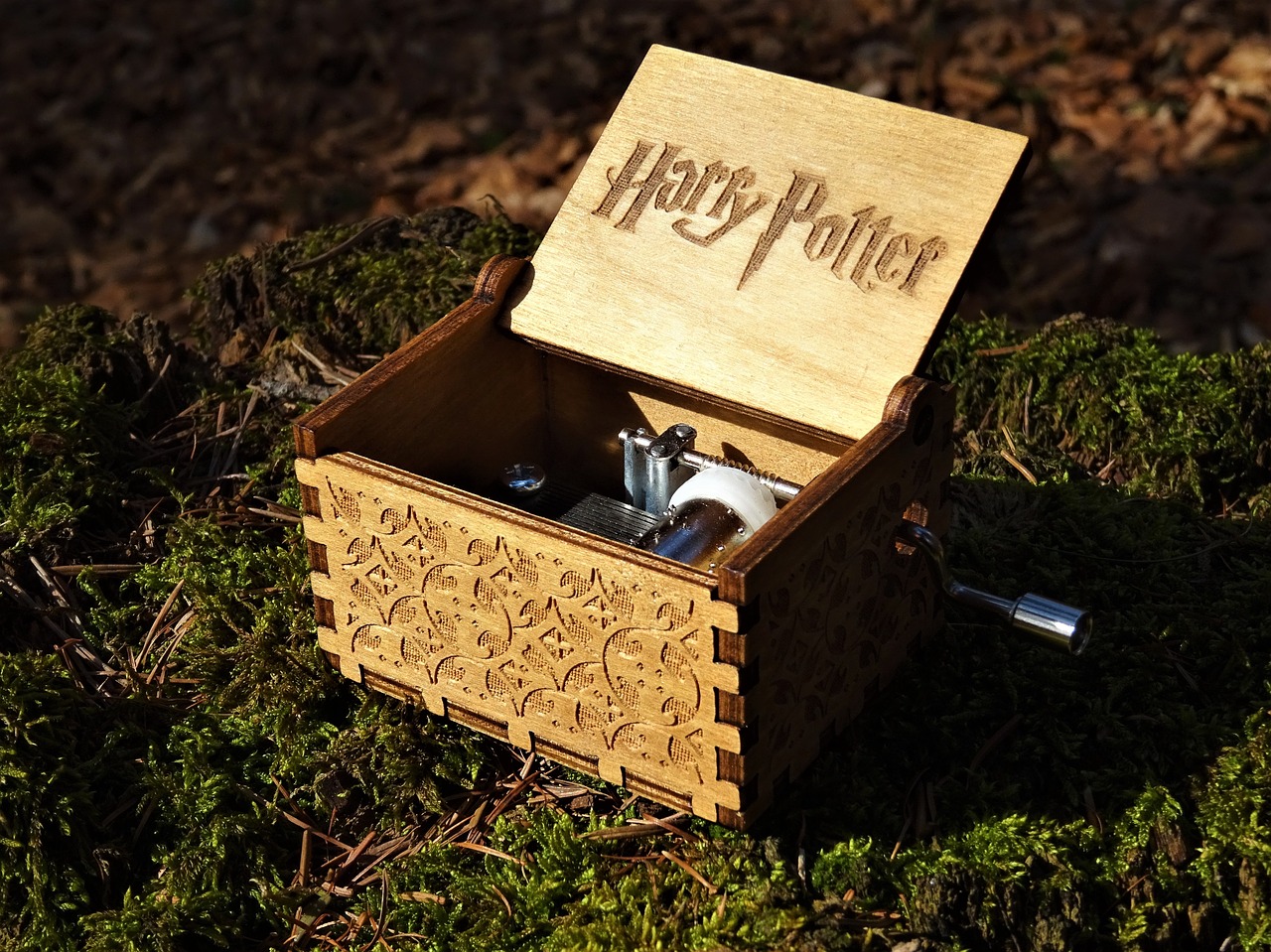 A Harry Potter Wedding Filled With Magical Details