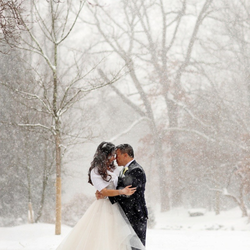 snow5